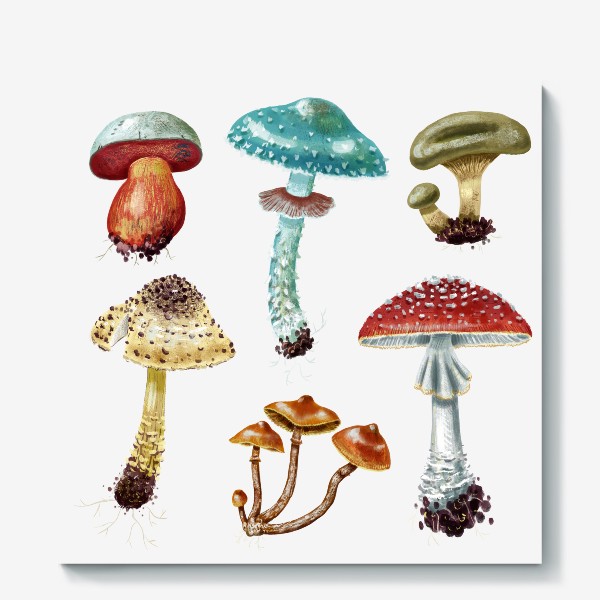 Холст &laquo;Красивые разноцветные лесные грибочки, несъедобные и ядовитые грибы, осень, грибная пора, яркий подарок грибнику&raquo;