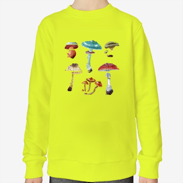 Свитшот &laquo;Красивые разноцветные лесные грибочки, несъедобные и ядовитые грибы, осень, грибная пора, яркий подарок грибнику&raquo;