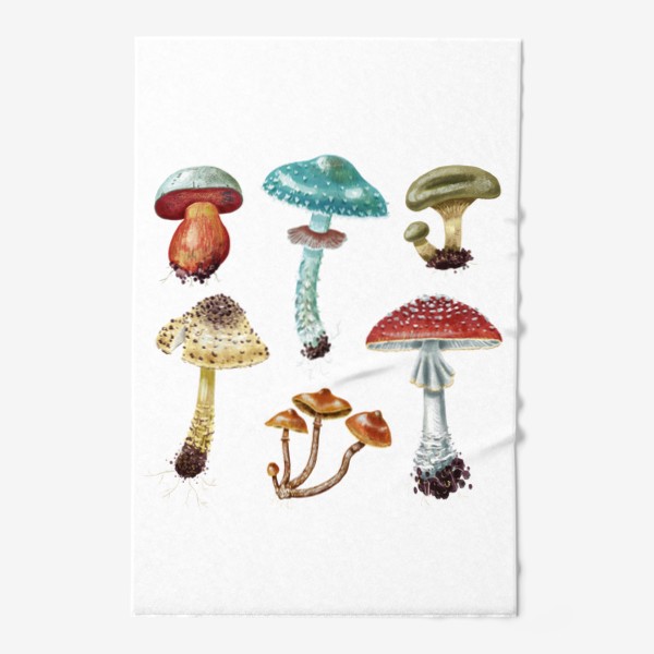Полотенце «Красивые разноцветные лесные грибочки, несъедобные и ядовитые грибы, осень, грибная пора, яркий подарок грибнику»