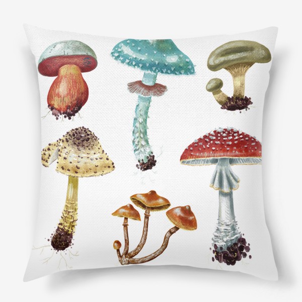 Подушка «Красивые разноцветные лесные грибочки, несъедобные и ядовитые грибы, осень, грибная пора, яркий подарок грибнику»