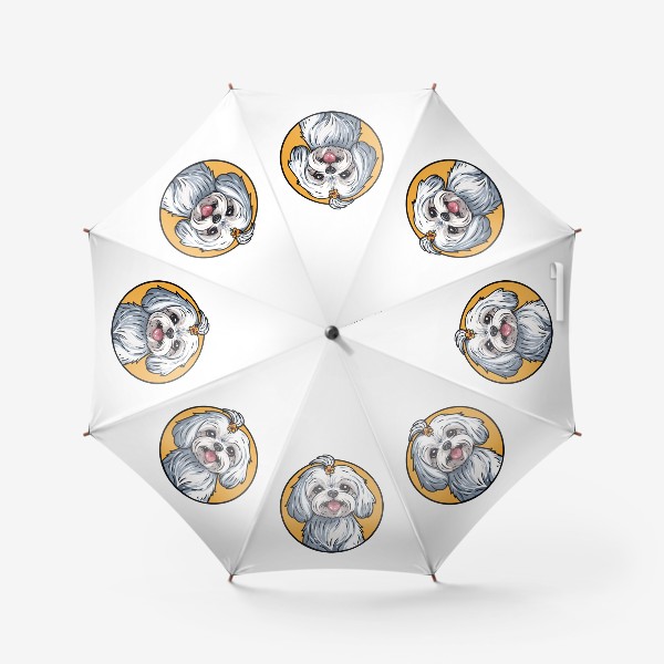Зонт «Милая белая мальтийская болнка, красивая собака, породы собак, милые животные»