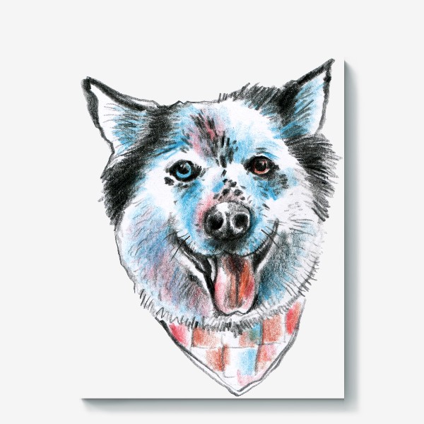 Холст «Якутская лайка. Рисунок карандашом. Любителю собак»