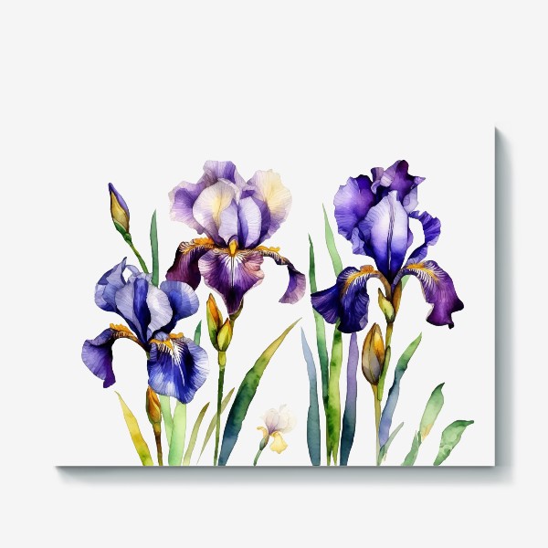 Холст «Ирисы фиолетовые акварелью с листьями, реализм»