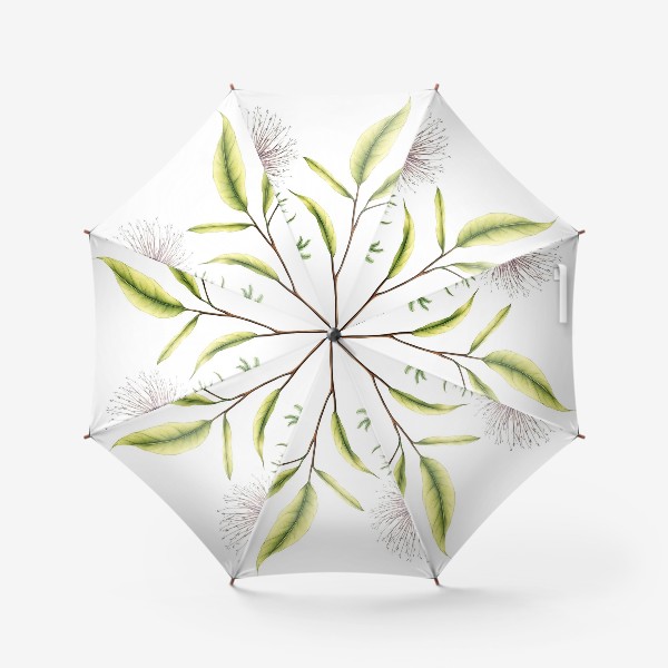 Зонт «Нежные растения»