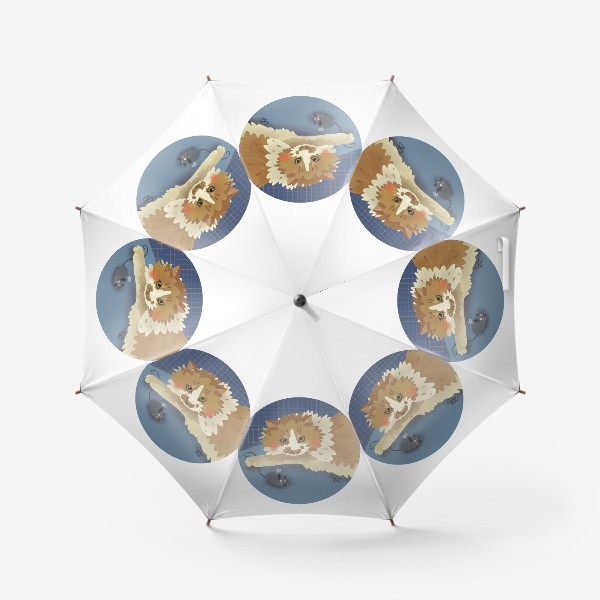 Зонт «Хурма в круге (1)»
