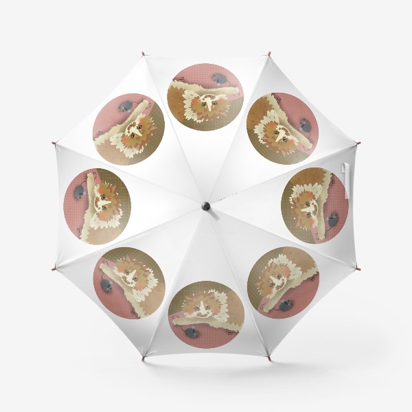 Зонт «Хурма в круге (3)»
