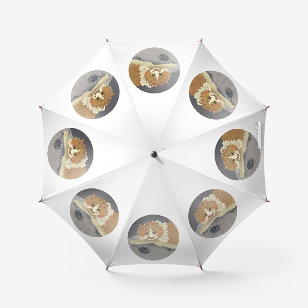 Зонт «Хурма в круге (2) »