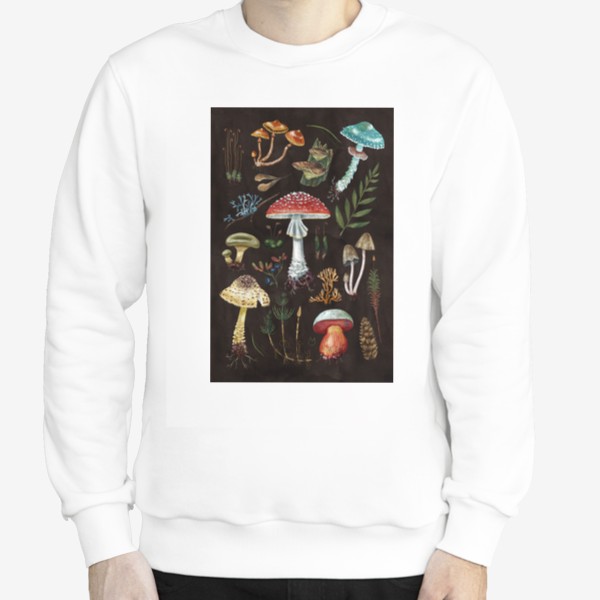 Свитшот «Лесные сокровища. Разные красивые лесные грибы, лето, осень, несъедобные и ядовитые, мухомор, мох, папоротник, природа»