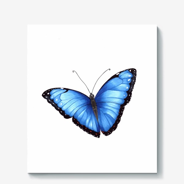 Холст «Голубая бабочка»