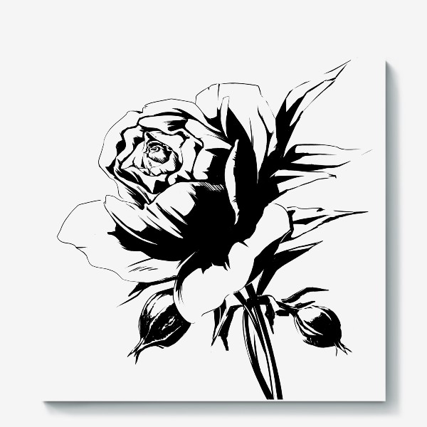 Холст «Роза черно-белая. Скетч»