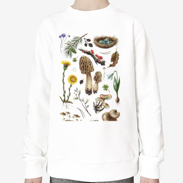 Свитшот «Разные лесные грибы, цветы, травы, весенние растения, природа, ботаническая иллюстрация, гербарий, растительный принт»