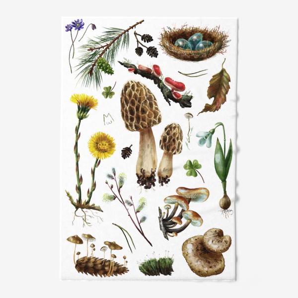 Полотенце «Разные лесные грибы, цветы, травы, весенние растения, природа, ботаническая иллюстрация, гербарий, растительный принт»