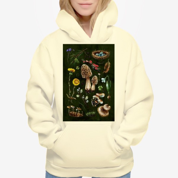 Худи «Разные лесные грибы, цветы, травы, весенние растения, природа, ботаническая иллюстрация, гербарий, растительный принт»