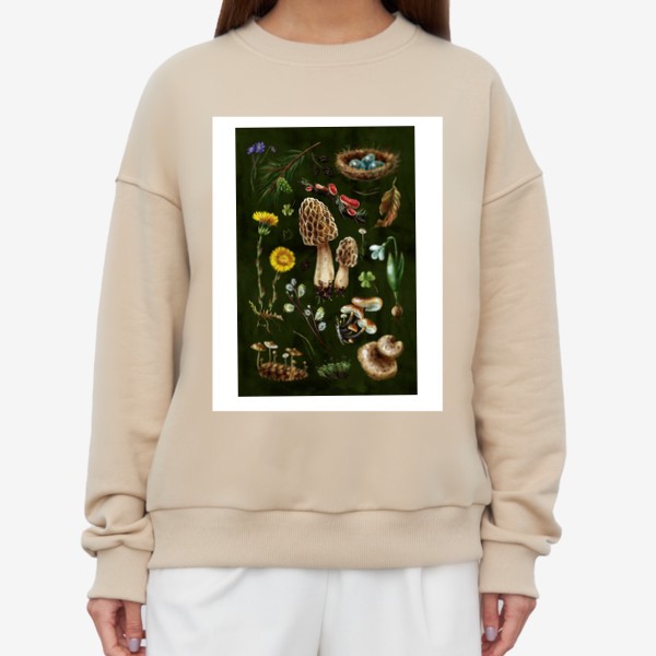 Свитшот «Разные лесные грибы, цветы, травы, весенние растения, природа, ботаническая иллюстрация, гербарий, растительный принт»