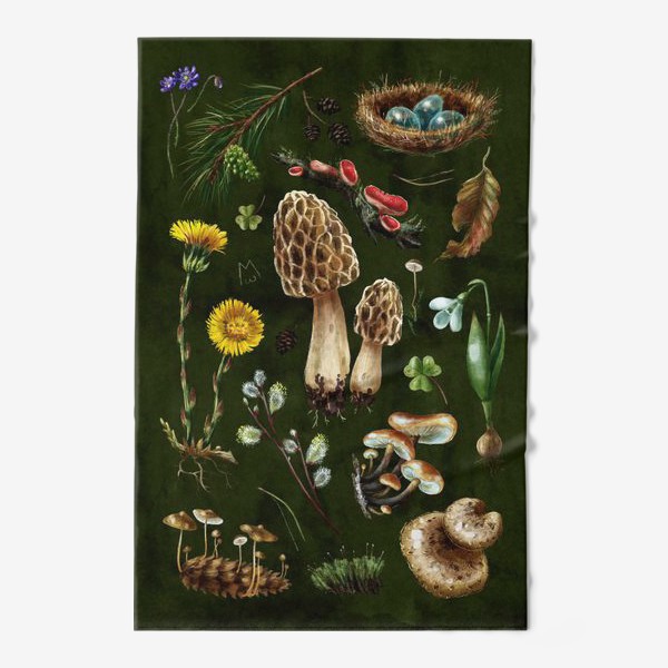 Полотенце «Разные лесные грибы, цветы, травы, весенние растения, природа, ботаническая иллюстрация, гербарий, растительный принт»