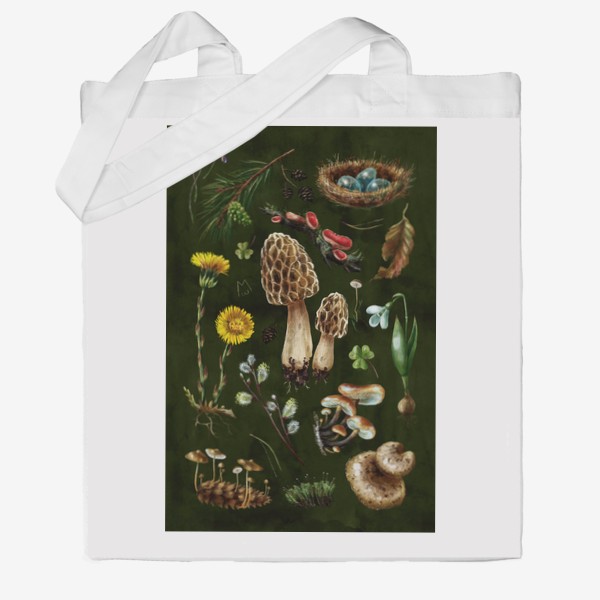Сумка хб «Разные лесные грибы, цветы, травы, весенние растения, природа, ботаническая иллюстрация, гербарий, растительный принт»