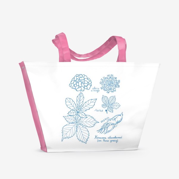 Пляжная сумка &laquo;Женьшень. Растения. Ботаника.&raquo;