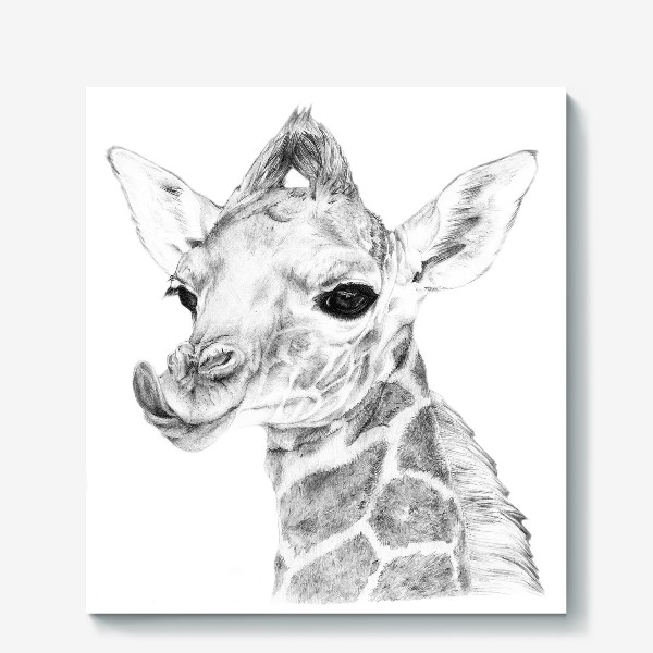 Холст «Малыш жирафик/Baby giraffe»