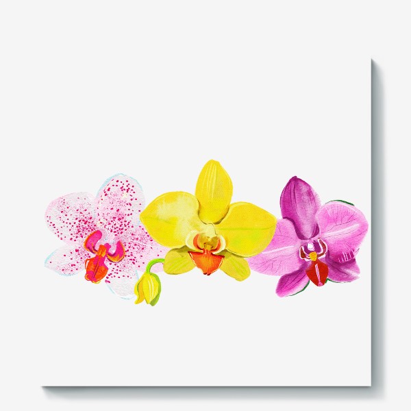 Холст «три орхидеи»