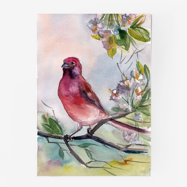 Постер «Красно-розовая птичка на ветке с цветами»
