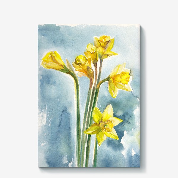 Холст «Цветы нарциссы / Daffodil flowers»