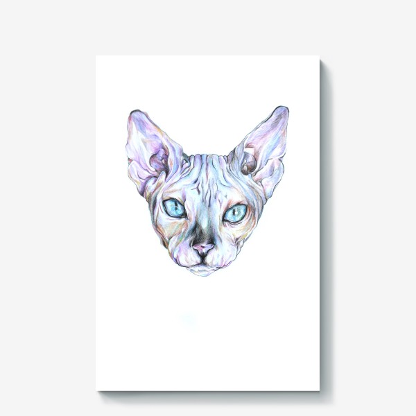 Холст «Сфинкс. Лысый кот»