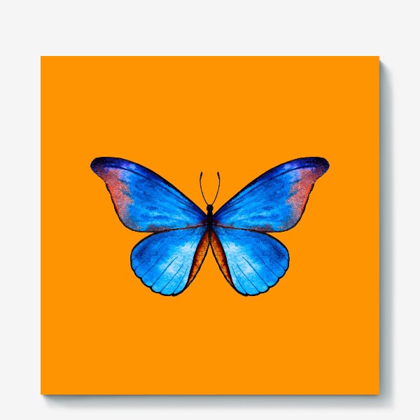 Холст «Бабочка в голубом на оранжевом»