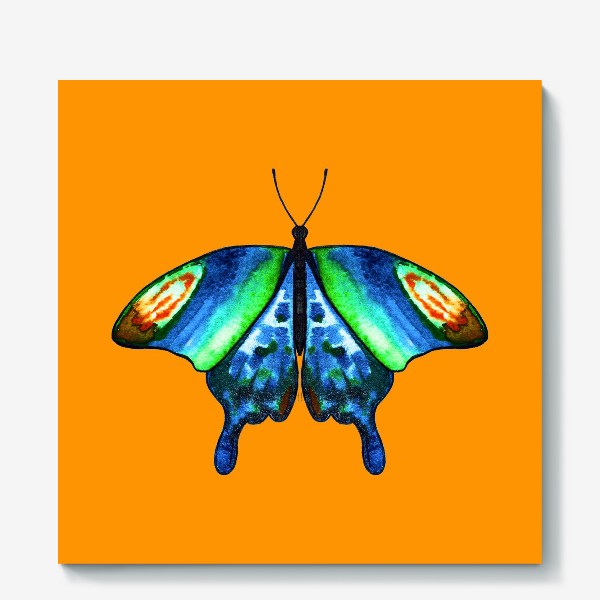 Холст «Бабочка на оранжевом»