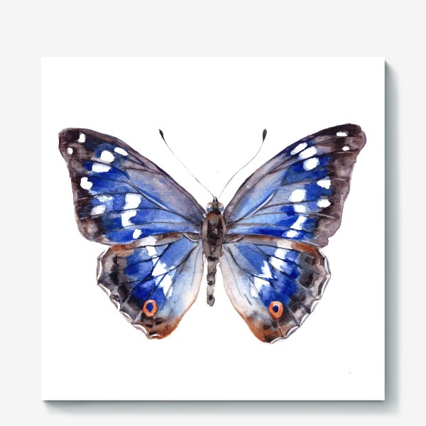 Холст «Голубая бабочка»