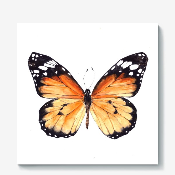 Холст «Бабочка Монарх»
