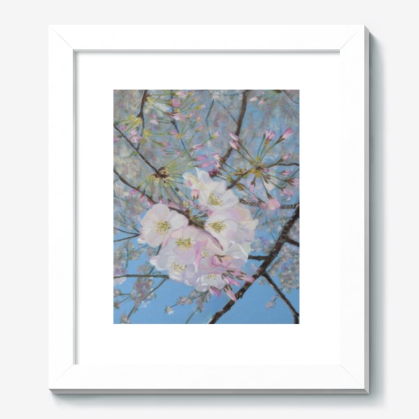Картина «цветущая вишня-сакура»