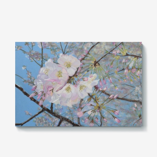 Холст «цветущая вишня-сакура»