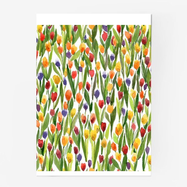 Постер «цветные тюльпаны на белом фоне»