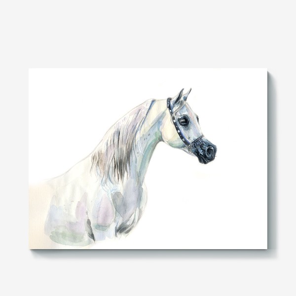 Холст «Арабская лошадь»