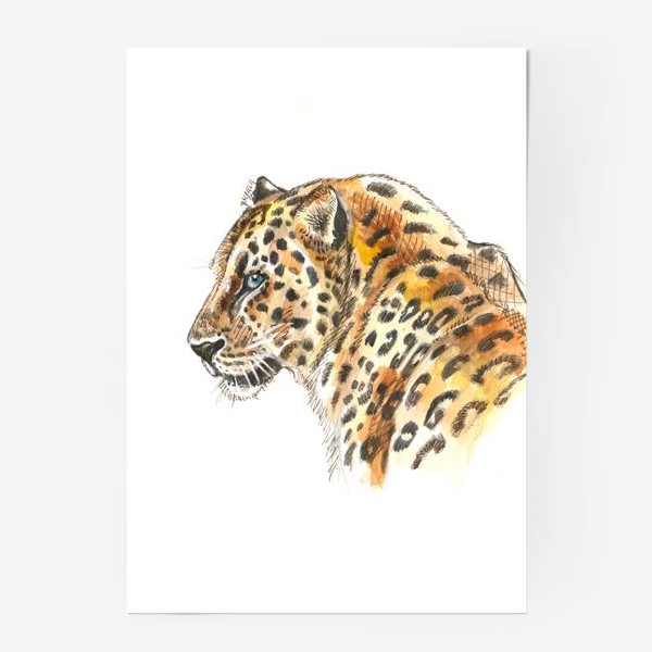 Постер «Leopard»