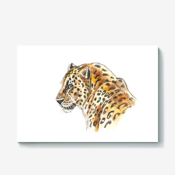 Холст «Leopard»