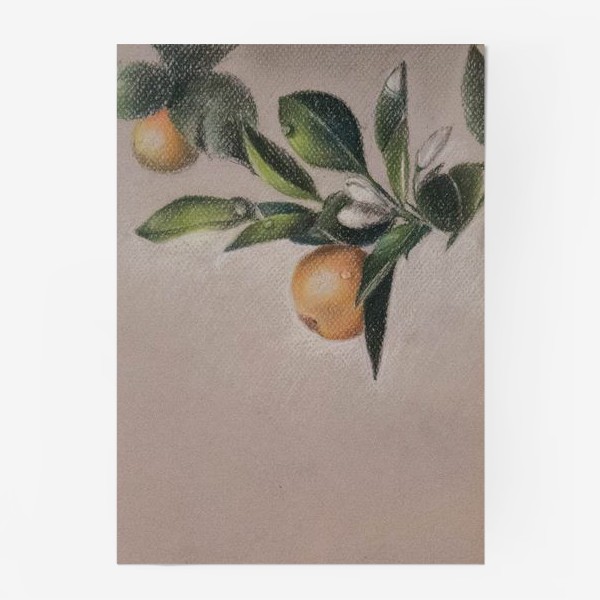 Постер «Тосканские апельсины»