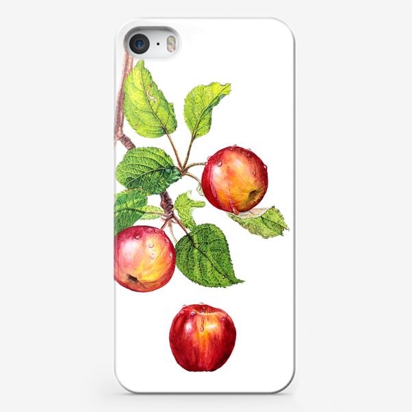 Чехол iPhone «Фрукты, красные яблоки на ветке. Ботаническая иллюстрация»