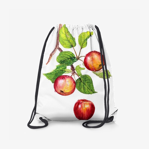 Рюкзак «Фрукты, красные яблоки на ветке. Ботаническая иллюстрация»