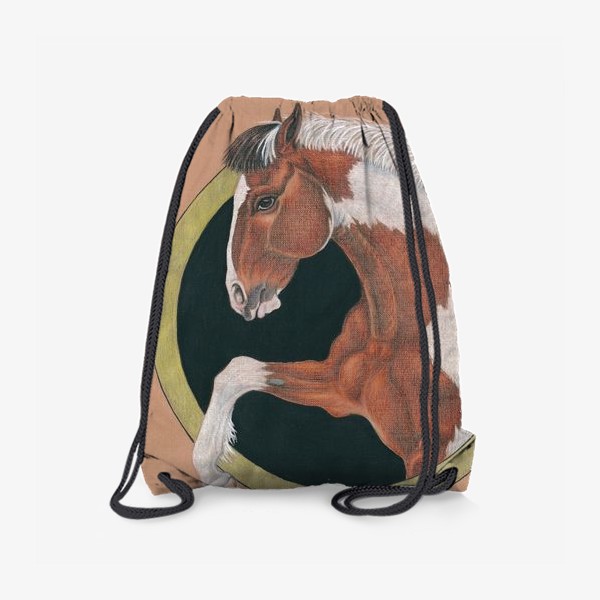 Рюкзак «Пегий конь»