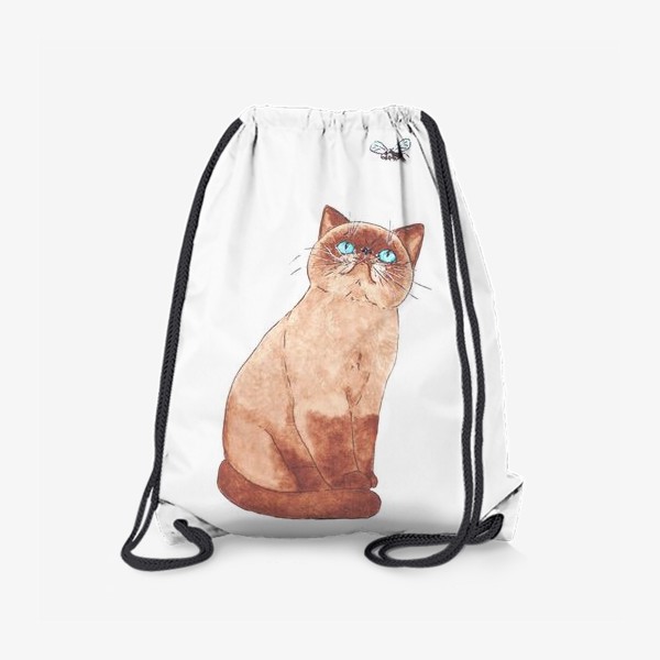 Рюкзак «Экзотическая кошка с голубыми глазами. Кот»