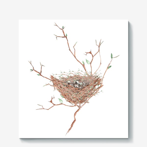 Холст «Птичье гнездо весной»