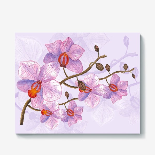 Холст «Розовая орхидея»