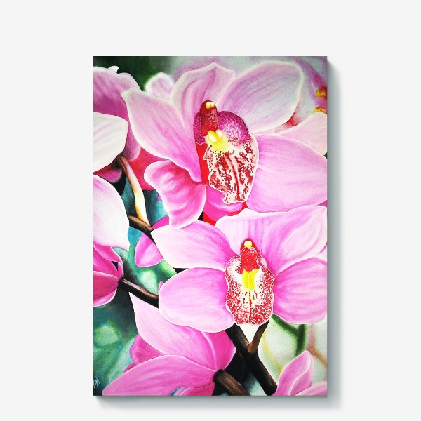 Холст «Орхидея»