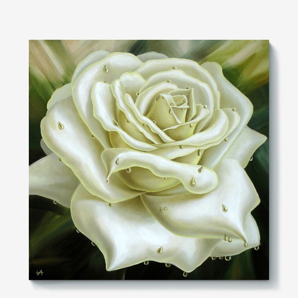 Холст «Белая роза»