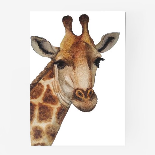 Постер «Жираф», купить в интернет-магазине в Москве, автор: Elena Buslaeva,  цена: 660 рублей, 7546.38038.295397.770640