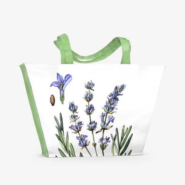 Пляжная сумка «Лаванда. Ботаническая иллюстрация »