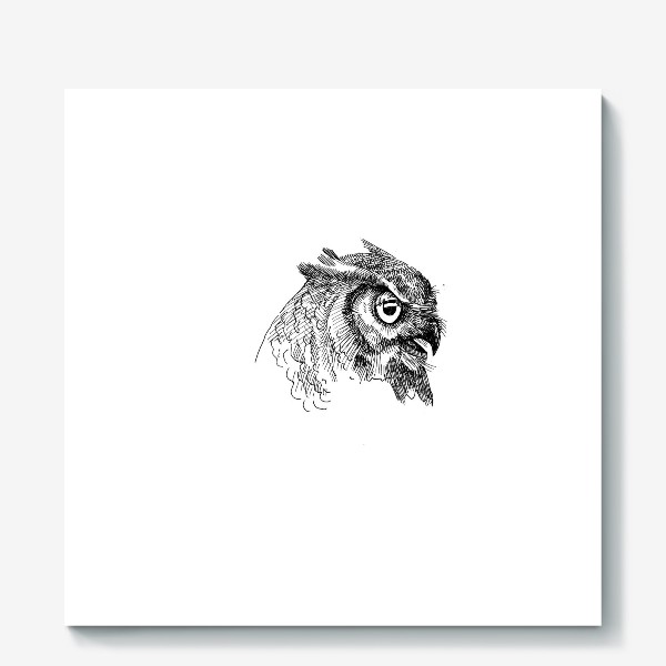 Холст «Сова в профиль. Голова совы сбоку нарисованная карандашом»