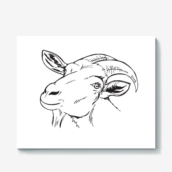 Холст «коза »