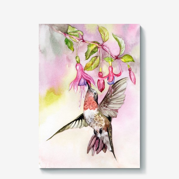 Холст «Птица колибри и фуксия\Birds hummingbird»